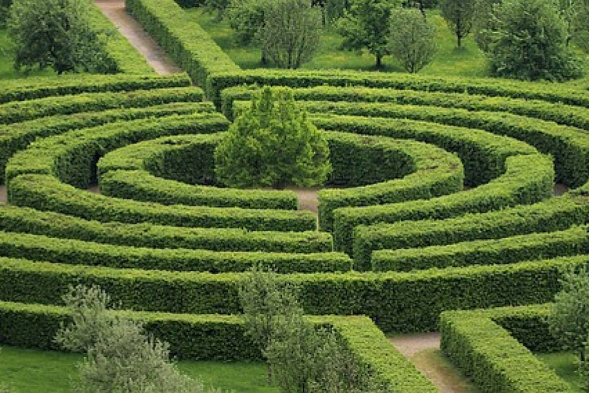 Reaktion auf Vielredner im Kundengespräch: Das Irrgarten-Dilemma